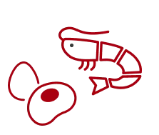 エビと貝のイラスト